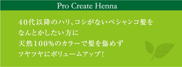 Pro Create Henna