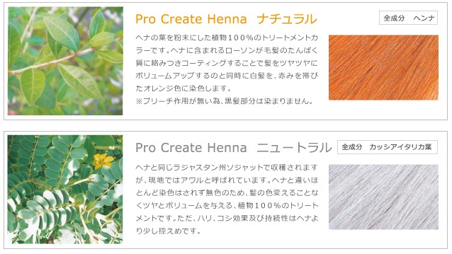 procreate-henna-img-gds2